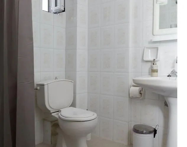 Aparthotel Elaionas 4*